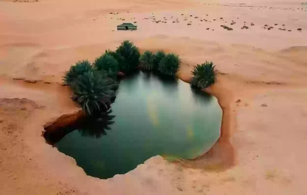 الصحراء السعودية
