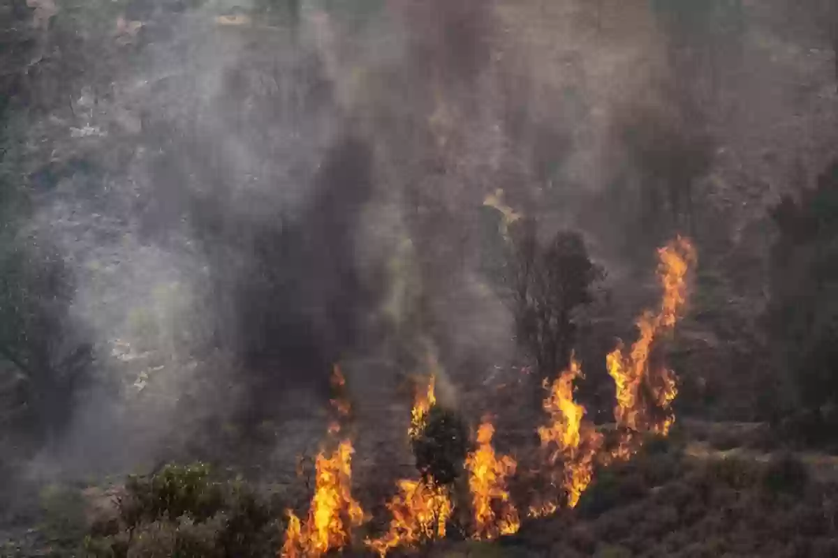 شعال النيران في مناطق الغطاء النباتي