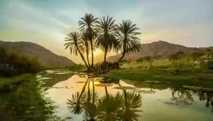 قائمة بأفضل المحميات الطبيعية في السعودية