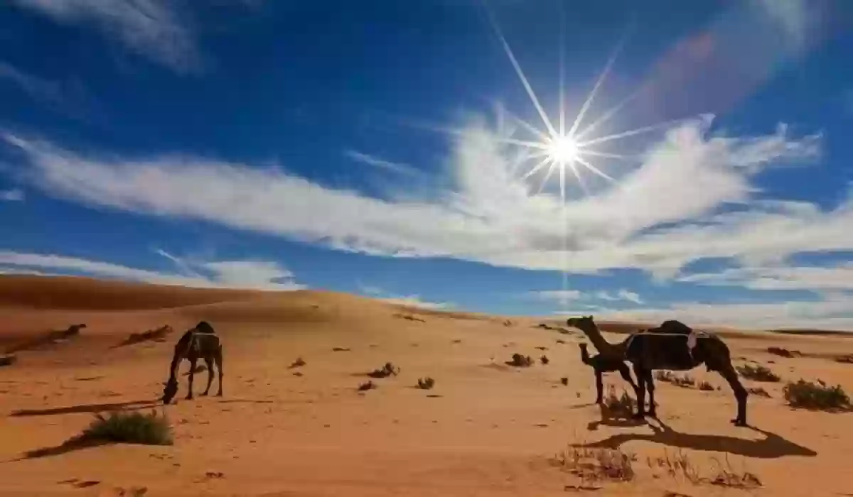 المناخ السائد في المملكة العربية السعودية 
