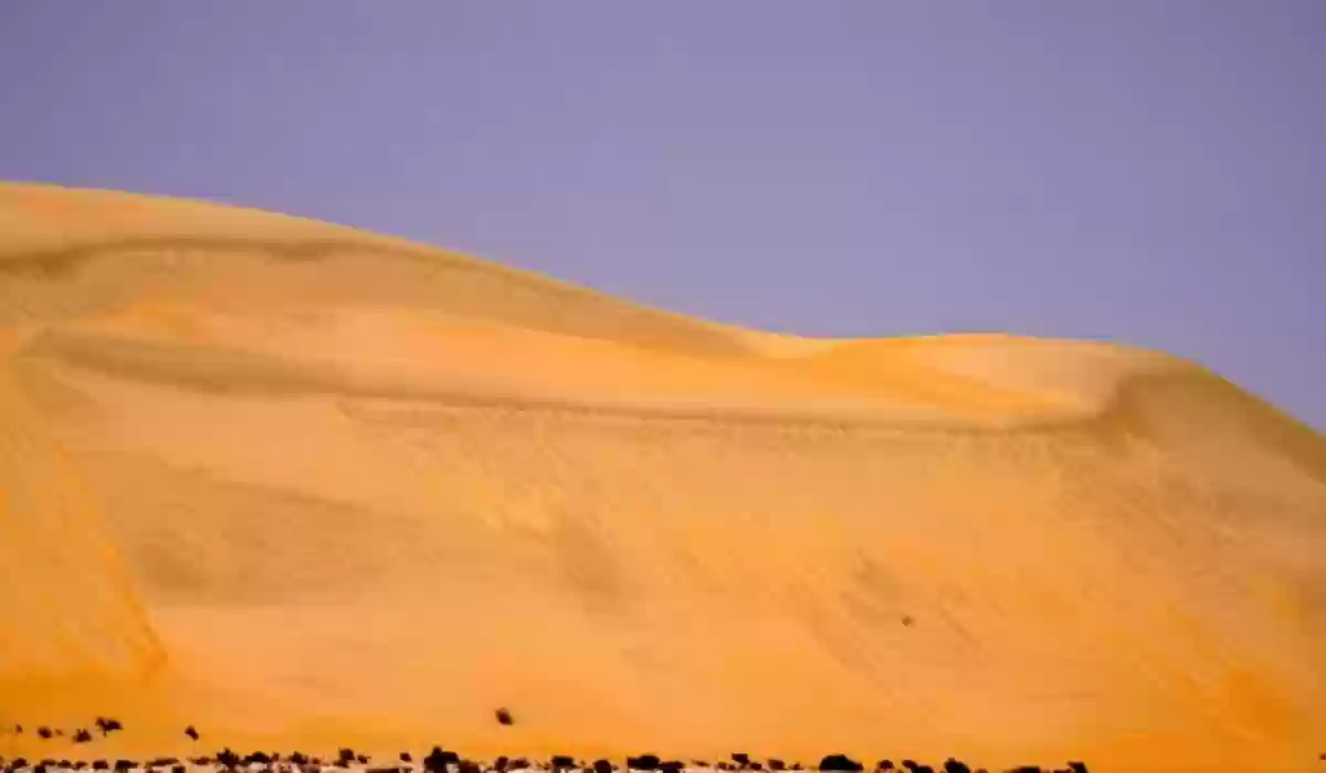 صحراء الربع الخالي في السعودية 