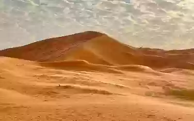 إليك أبرز المعلومات حول صحراء النفود الكبير بالسعودية