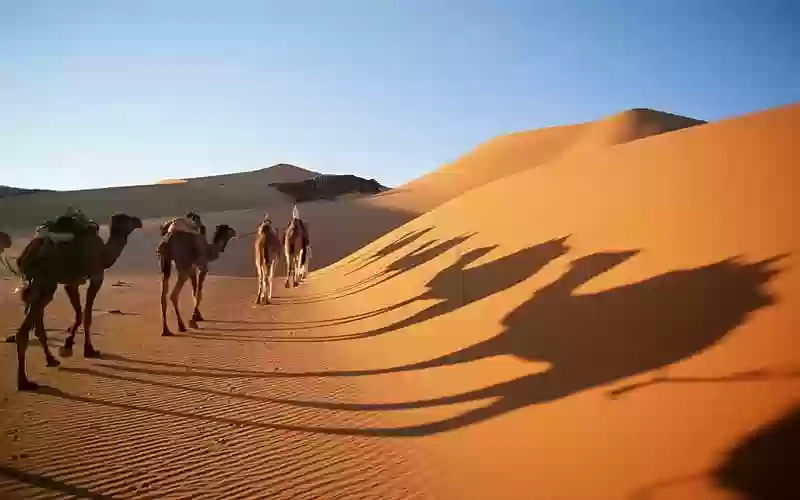 هل المناطق الصحراوية في السعودية آمنة؟