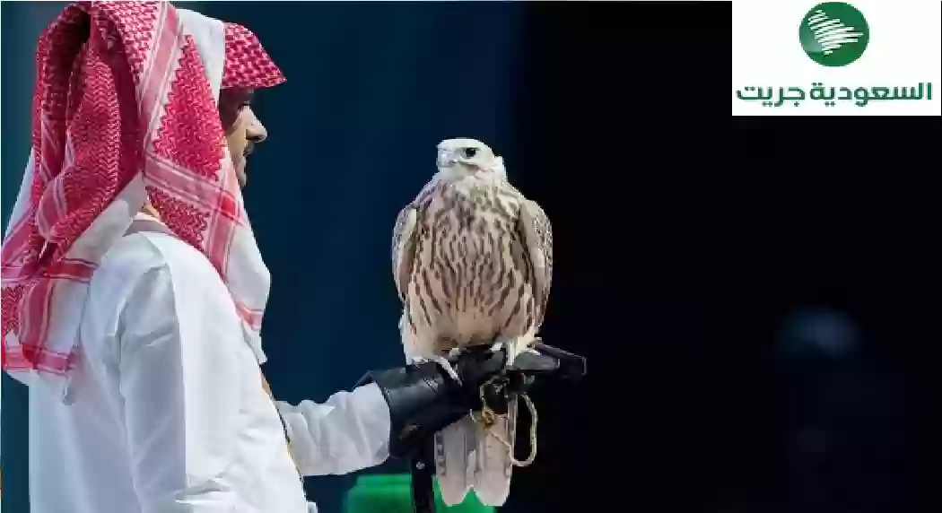 الطيور النادرة المستوطنة في المملكة العربية السعودية