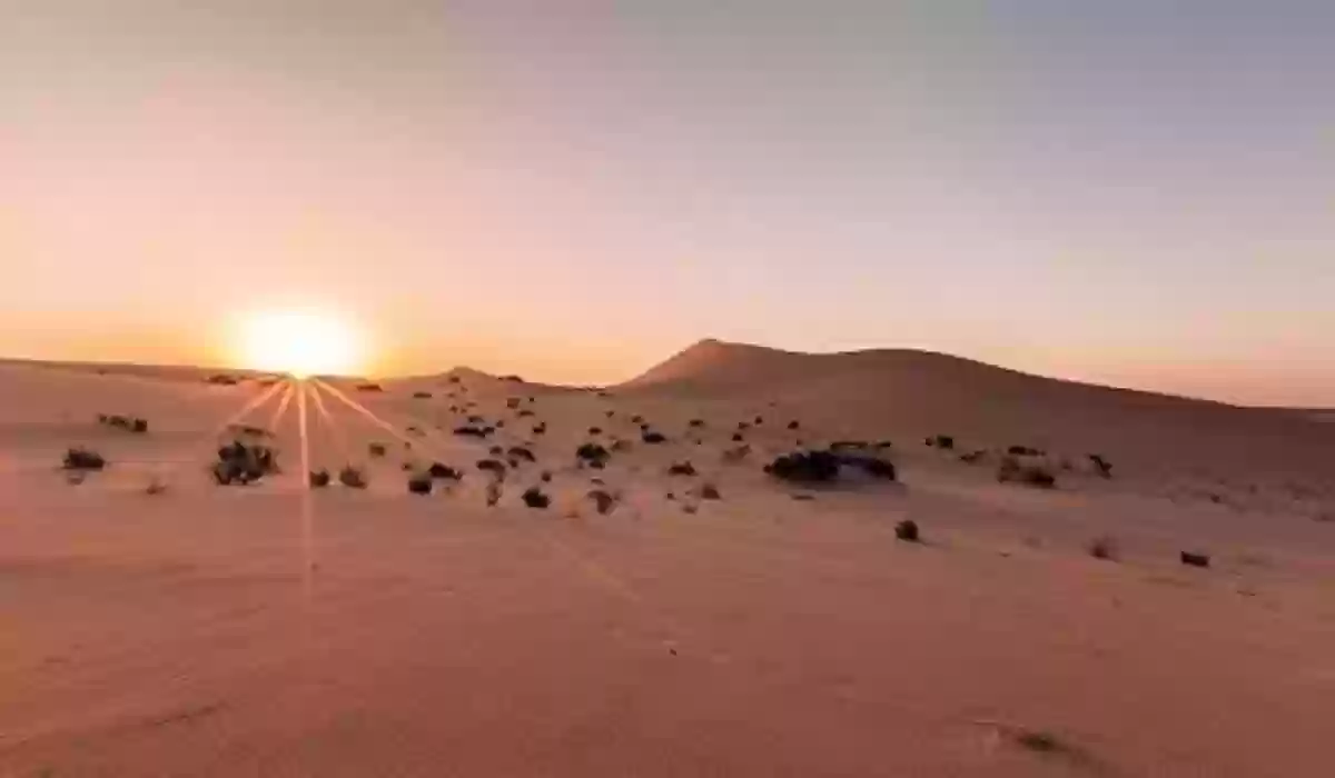 معلومات عن صحراء النفود الكبير في السعودية 