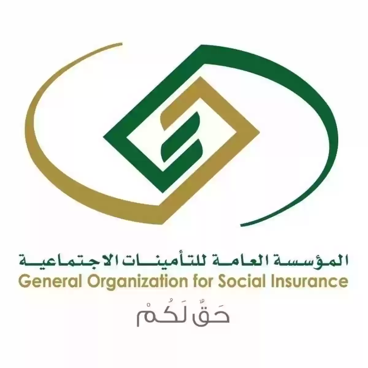 هيئة التأمينات الاجتماعية 